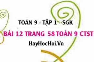 Bài 12 trang 58 Toán 9 tập 1 Chân trời sáng tạo
